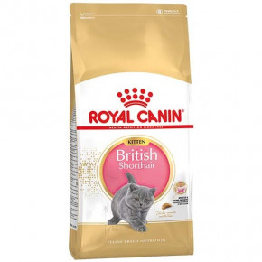   Royal Canin British Shorthair Kitten       12  10  (45807)