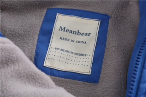   Meanbear  (100) () (48623) 5
