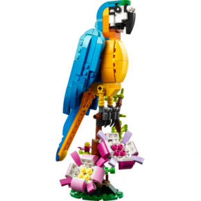  Lego Creator   (31136) 3