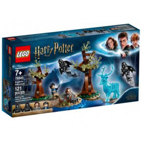  LEGO Harry Potter  ! 121  (75945)