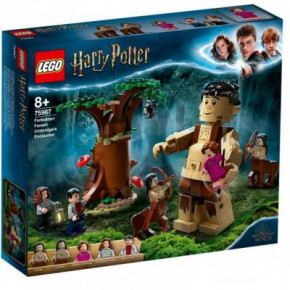  LEGO Harry Potter  :     (75967)