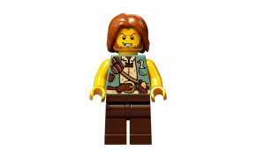  Lego   21315 6
