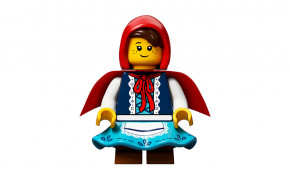  Lego   21315 8