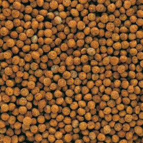    Tetra Gold fish Granules 250  +20% (739901/711169) 3