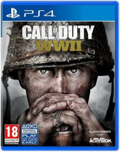   PS4 Call of Duty WWII, BD  (1101406)