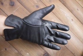     Shust Gloves 931s2