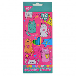  Yes Lovely cats 12  (290533)