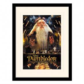    Harry Potter (Dumbledore)