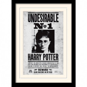    Harry Potter (Undesirable No1)