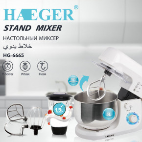   Haeger HG-6665 4