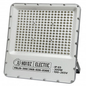   FELIS-300 300W 6400K Horoz Electric (068-026-0300-010)