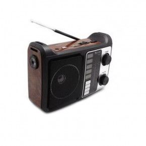     MP3 USB Golon RX-333+BT c Bluetooth Wooden   (VB163229)