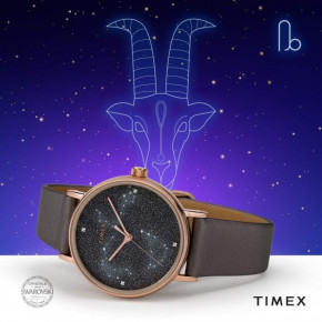   Timex Celestial Opulence (Tx2t87700) 6