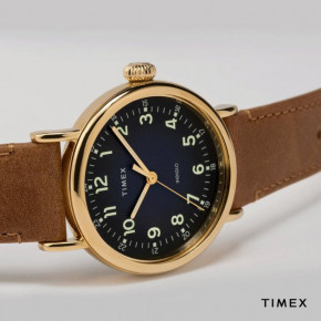    Timex Standard (Tx2t20000) (1)