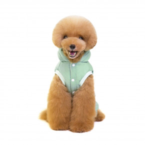     DogBaby Lovely 2XL Mint Dog Baby 1231797143 4