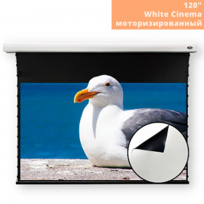     VividStorm White Cinema 120 (White)  (White-Cinema-120-(White)_17999) 3