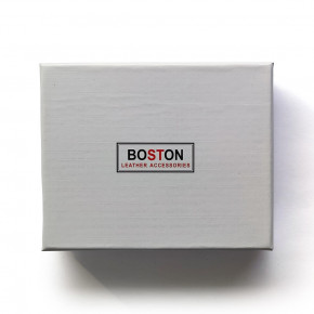     Boston BST-B5-026BA 3