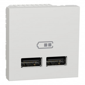  Schneider Electric Unica NU341818 USB 2.1 