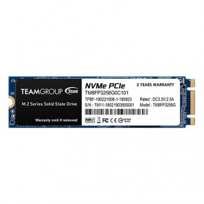  SSD  Team 256GB MP302 M.2 2280 PCIe 3.0 x2 TLC (TM8FP3256G0C101) (0)