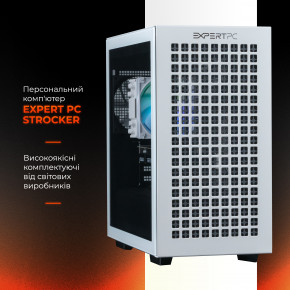   Expert PC Strocker (I131F16S4165G9702) 3