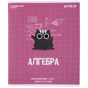  Kite  Cat 48    (K23-240-24)