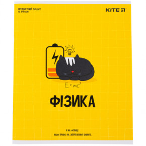  Kite  Cat 48    (K23-240-23)