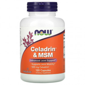  NOW Celadrin MSM 500 mg 120  