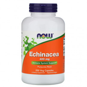  NOW Echinacea 400 mg 250  