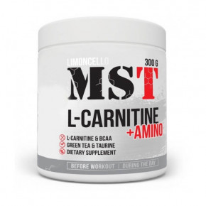  MST Nutrition L-Carnitine + Amino 300  +