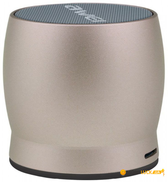   AWEI Y500 Bluetooth Speaker Gold