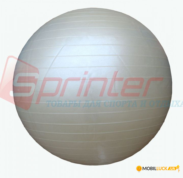    Sprinter Gym Ball D-55  (25148)