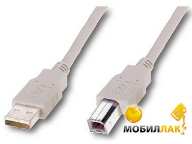  Atcom USB 2.0 AM/BM (8099)