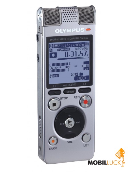  Olympus DM-650 4Gb