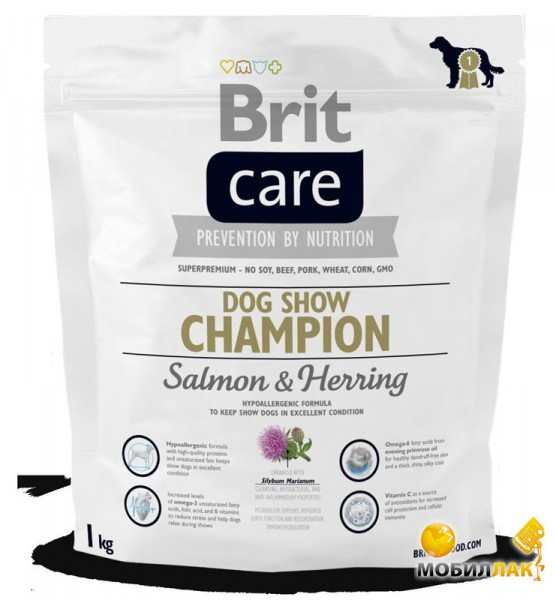    Brit Care Dog Show Champion 1