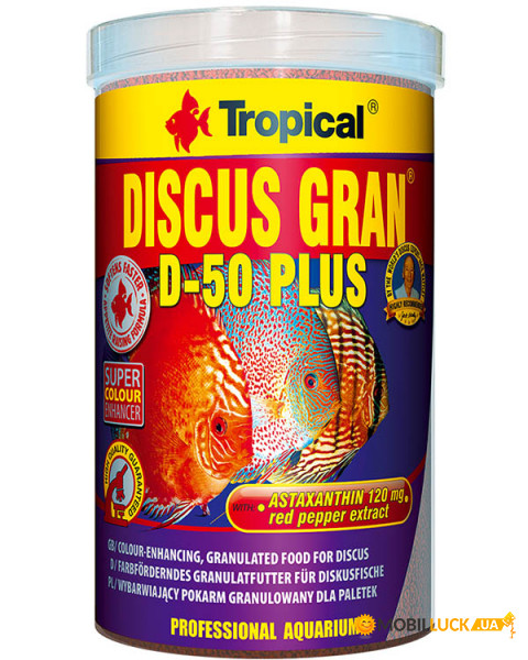 Tropical Discus Gran D-50 plus 1 /440  (61616)