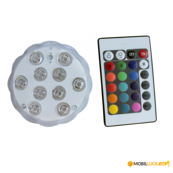    AMY Deluxe LED (812129)