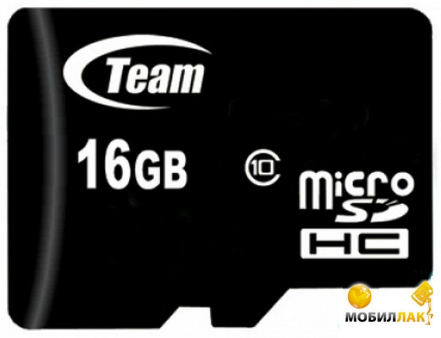  Team microSDHC 16GB Team Class 10 (no adapter) (TUSDH16GCL1002)