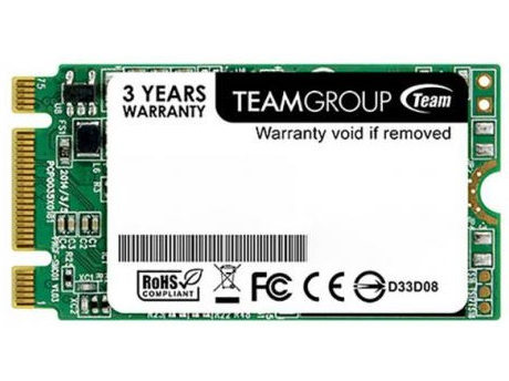  Team SSD M.2 2242 256GB (TM4PS5256GMC101)