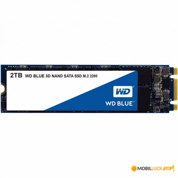  SSD Western Digital SSD Blue 2TB M.2 (WDS200T2B0B)