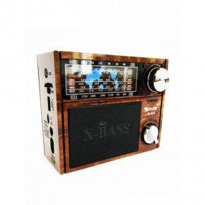   MP3 Golon RX-201 Wooden