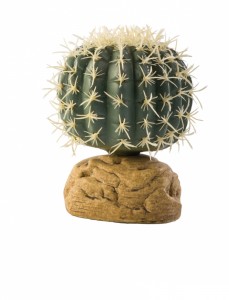   Hagen Barrel Cactus Large (0)