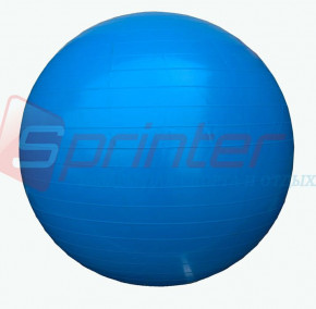     Sprinter Gym Ball D-55  (25149) (0)