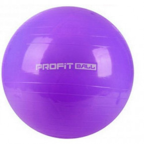    Profit 65   0382 Violet