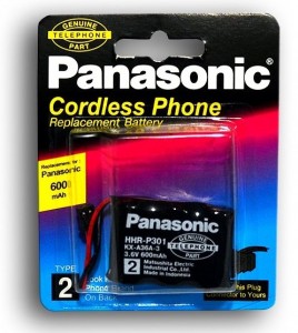  Panasonic -301 300 mAh T-107