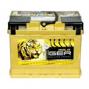    Tiger Gold 61h/12V R Euro (0)