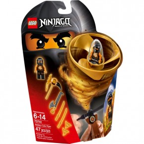  Lego Ninjago    (70741)