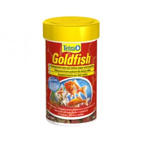     Tetra Gold Fish 10/12