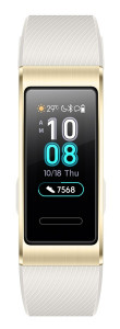    Huawei Band 3 Pro TER-B19 Gold (55023010) (2)