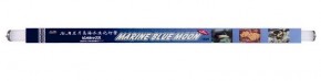     Marine Blue 30W 893