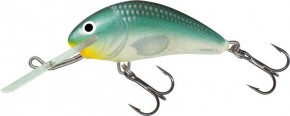  Salmo Hornet DR H2S-GBH